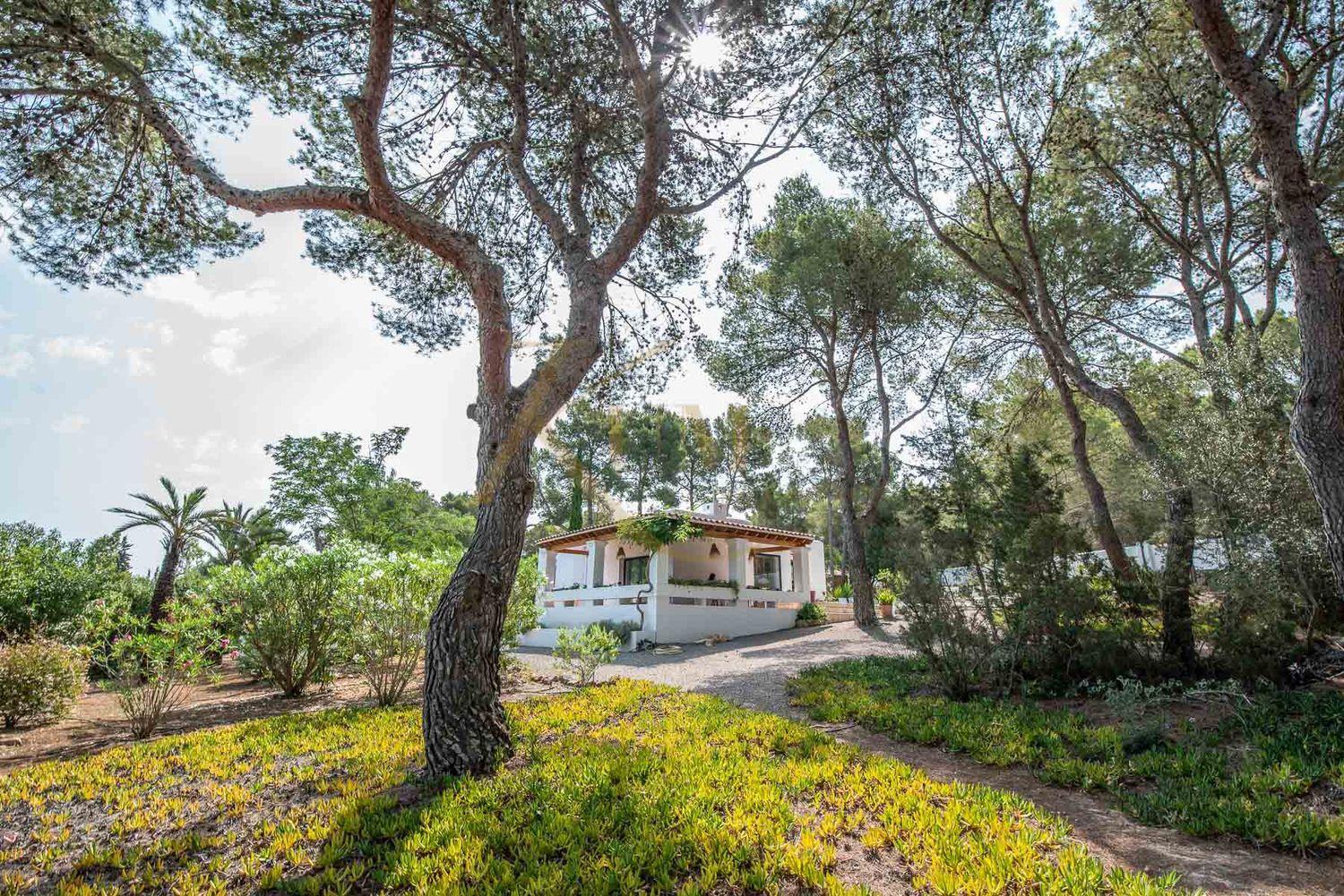 Lloguer Casa Ibicenca amb Piscina Privada | Sant Antoni, Eivissa