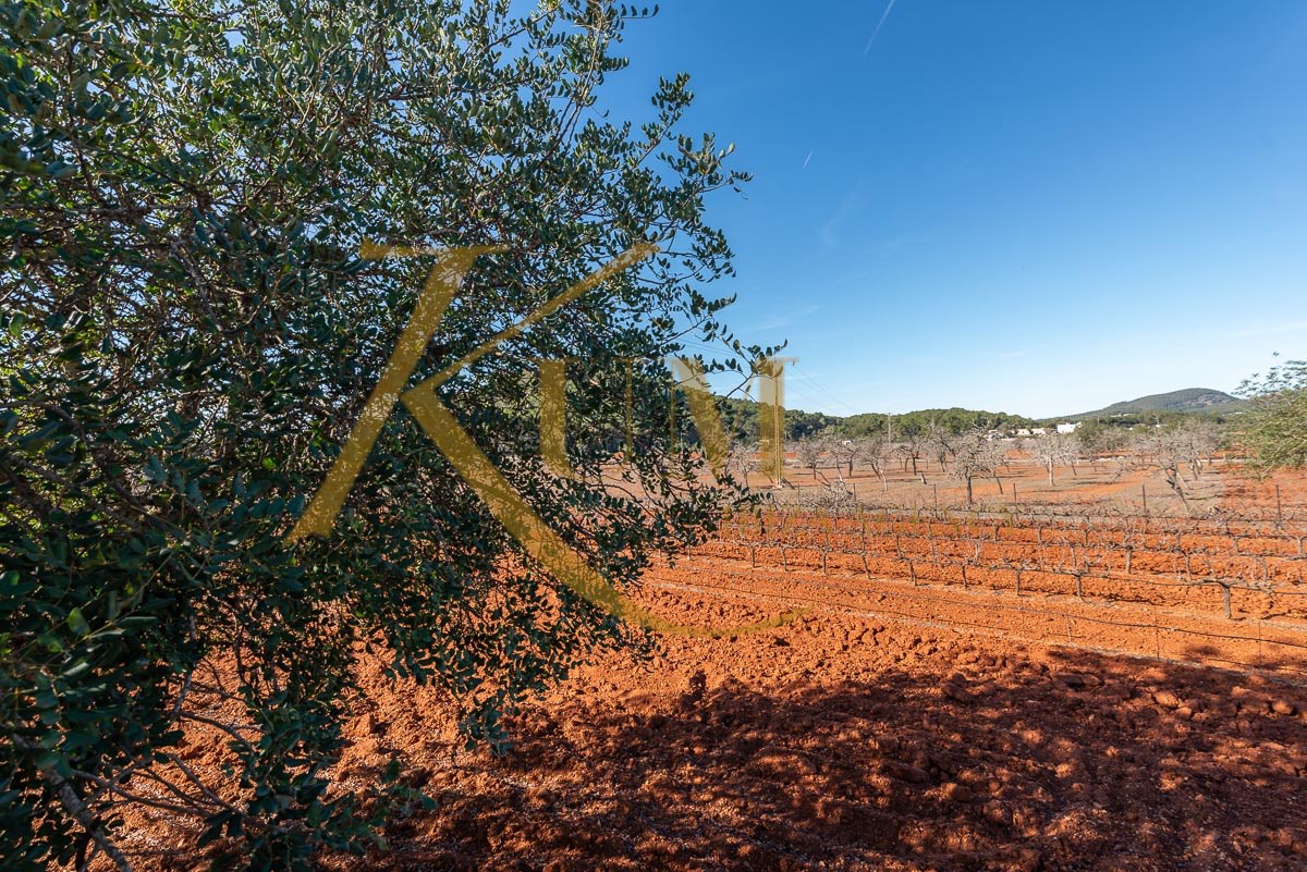 Propriété unique à vendre à Sant Mateu d’Albarca : Vignoble privé et style éco-agricole »