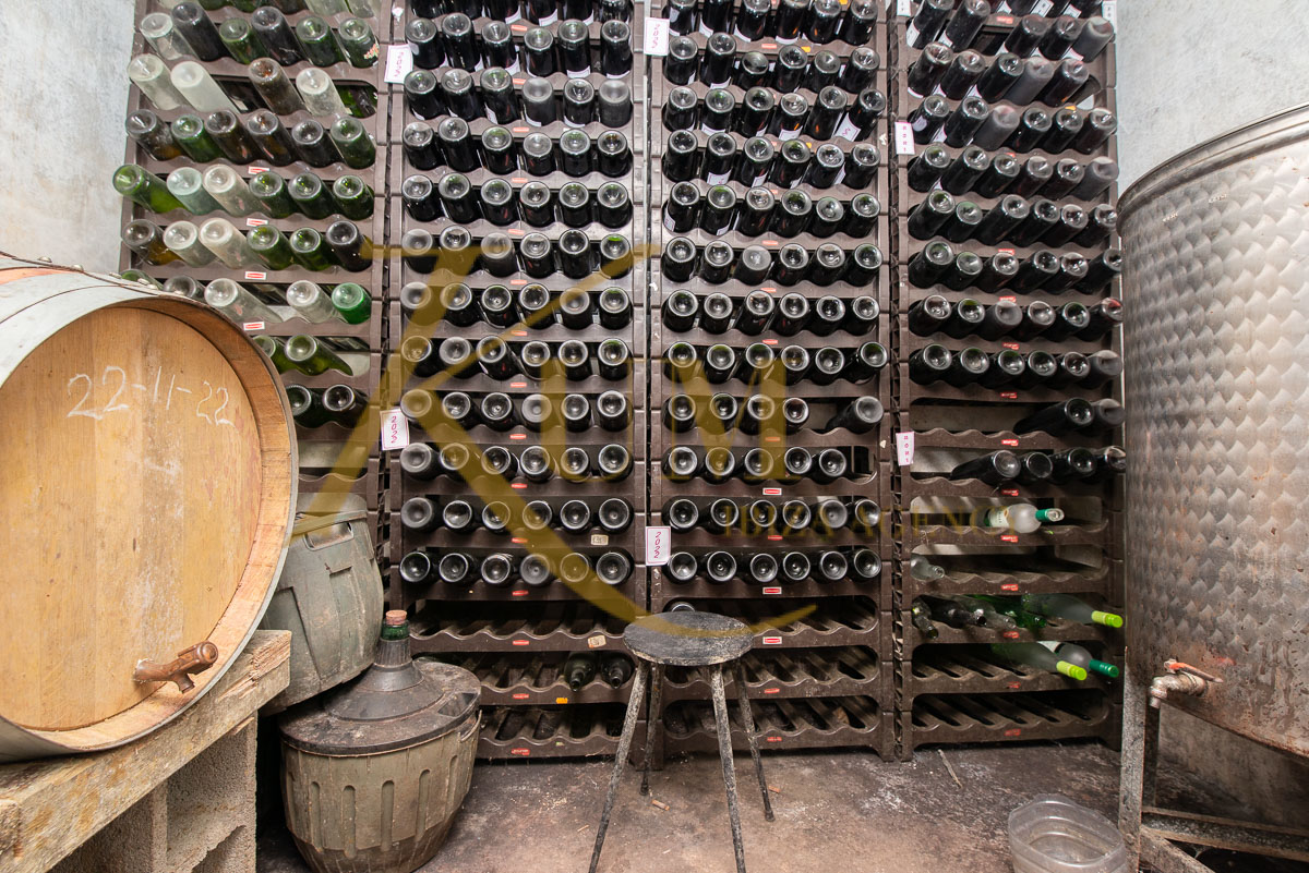 Уникальная недвижимость на продажу в Сан-Матеу-д'Альбарка: частный виноградник и эко-сельскохозяйственный стиль