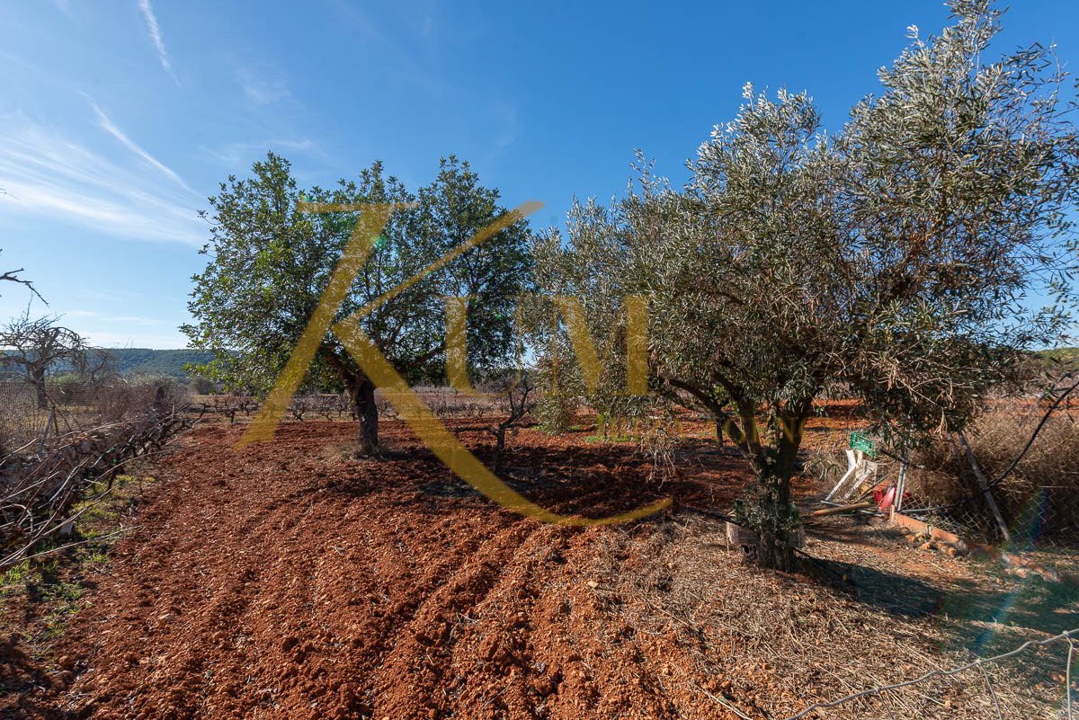 Uniek onroerend goed te koop in Sant Mateu d'Albarca: privéwijngaard en eco-agrarische stijl