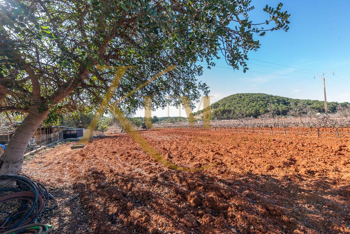 Uniek onroerend goed te koop in Sant Mateu d'Albarca: privéwijngaard en eco-agrarische stijl