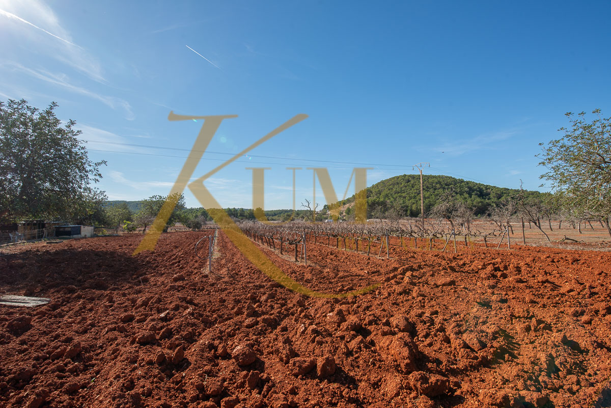 Propriété unique à vendre à Sant Mateu d’Albarca : Vignoble privé et style éco-agricole »